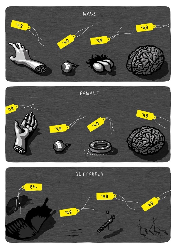 Male, female, butterfly [Male, female, butterfly]